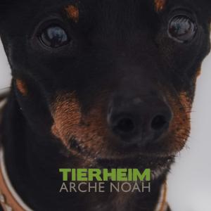 tierheimarchenoahbrinkum