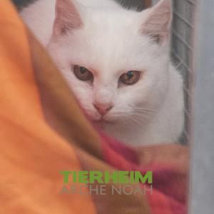 tierheimarchenoahbrinkum