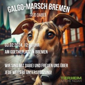 tierheimarchenoahbrinkum